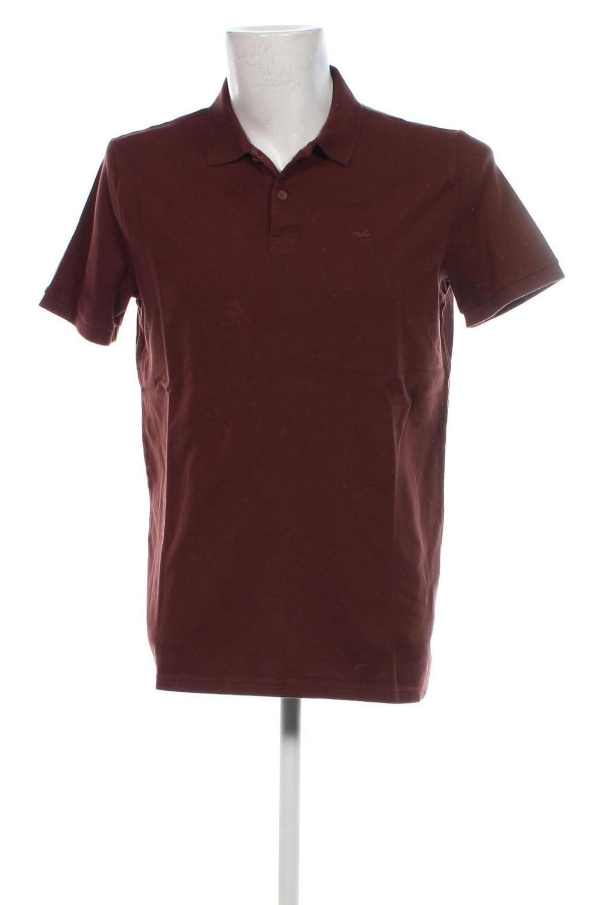 Herren T-Shirt Hollister, Größe L, Farbe Braun, Preis € 16,99