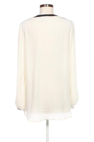 Damen Shirt Body Flirt, Größe L, Farbe Mehrfarbig, Preis 13,99 €