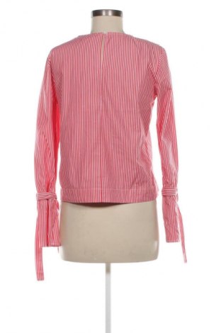 Damen Shirt Clockhouse, Größe M, Farbe Mehrfarbig, Preis 13,99 €