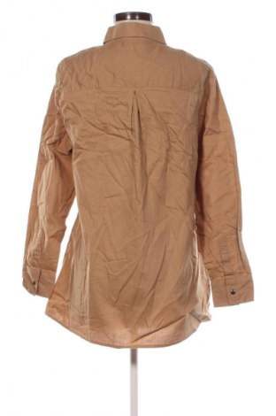 Bluzka damska Collection L, Rozmiar XL, Kolor Brązowy, Cena 25,99 zł