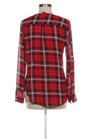 Damen Shirt Colloseum, Größe S, Farbe Mehrfarbig, Preis € 13,99