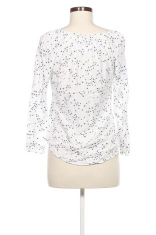 Damen Shirt Colosseum, Größe S, Farbe Mehrfarbig, Preis € 13,99