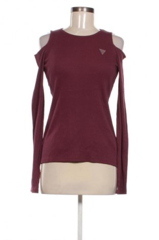 Damen Shirt Guess, Größe L, Farbe Lila, Preis € 41,99