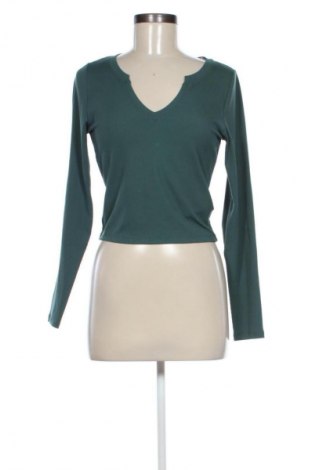 Damen Shirt Hollister, Größe L, Farbe Grün, Preis € 43,99