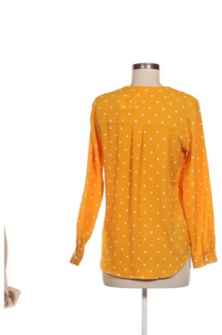 Damen Shirt Koton, Größe M, Farbe Mehrfarbig, Preis 28,99 €