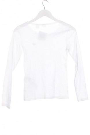 Damen Shirt Levi's, Größe XS, Farbe Weiß, Preis € 33,99