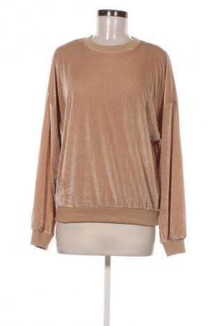 Damen Shirt Missguided, Größe M, Farbe Braun, Preis € 18,41