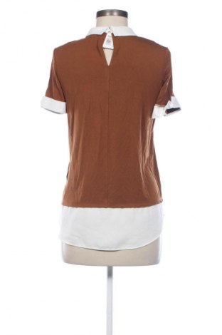 Damen Shirt Patrizia Dini, Größe S, Farbe Braun, Preis € 37,42