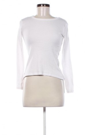 Damen Shirt Sinsay, Größe XS, Farbe Weiß, Preis 9,72 €