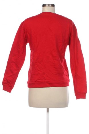 Damen Shirt Stradivarius, Größe S, Farbe Mehrfarbig, Preis € 13,99