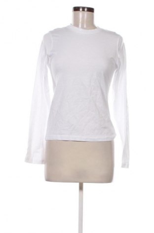 Damen Shirt Weekday, Größe XS, Farbe Weiß, Preis 31,99 €