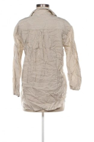 Damen Shirt Zara, Größe S, Farbe Mehrfarbig, Preis 18,99 €