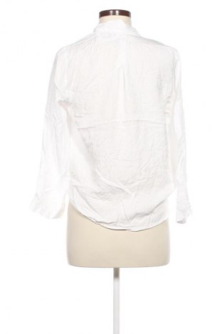 Damen Shirt Zara, Größe XS, Farbe Weiß, Preis € 18,99