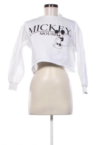 Damen Shirt Zara, Größe S, Farbe Weiß, Preis 13,81 €