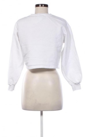 Damen Shirt Zara, Größe S, Farbe Weiß, Preis 13,81 €