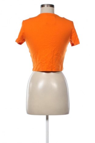 Damen Shirt Zara, Größe L, Farbe Orange, Preis € 10,00