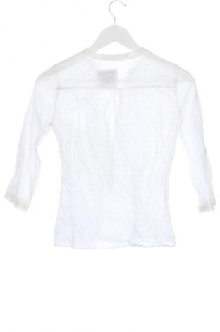 Damen Shirt Zara, Größe XS, Farbe Weiß, Preis € 13,81