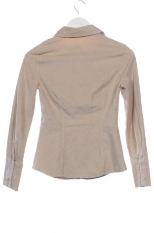 Damenbluse Bershka, Größe XS, Farbe Beige, Preis 12,99 €