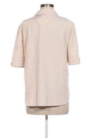 Damenbluse Bexleys, Größe XL, Farbe Mehrfarbig, Preis € 19,99