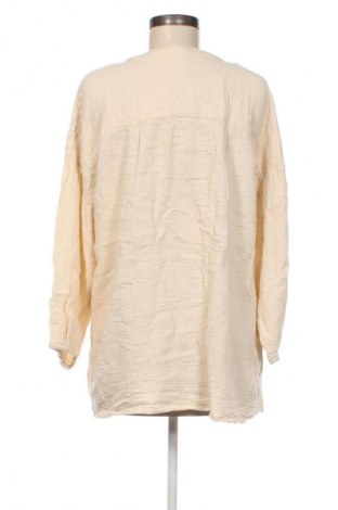 Damenbluse Bpc Bonprix Collection, Größe M, Farbe Beige, Preis 7,99 €