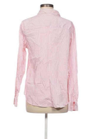 Damenbluse H&M, Größe L, Farbe Mehrfarbig, Preis 17,99 €