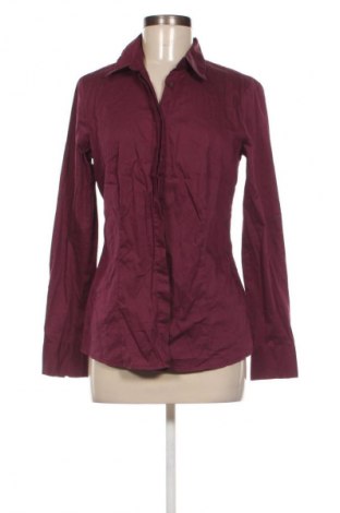Damenbluse Mexx, Größe M, Farbe Lila, Preis 11,99 €