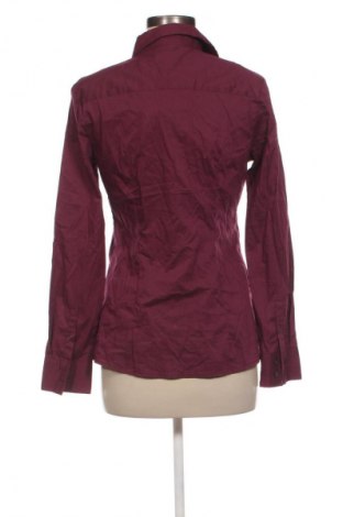 Damenbluse Mexx, Größe M, Farbe Lila, Preis 11,99 €