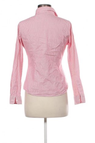Damenbluse Montego, Größe M, Farbe Mehrfarbig, Preis € 17,99