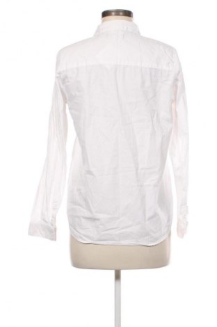 Damenbluse Sinsay, Größe M, Farbe Weiß, Preis € 12,68