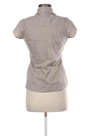 Damenbluse Topshop, Größe M, Farbe Braun, Preis € 14,99