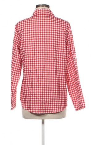 Damenbluse Unbranded, Größe L, Farbe Mehrfarbig, Preis 13,00 €