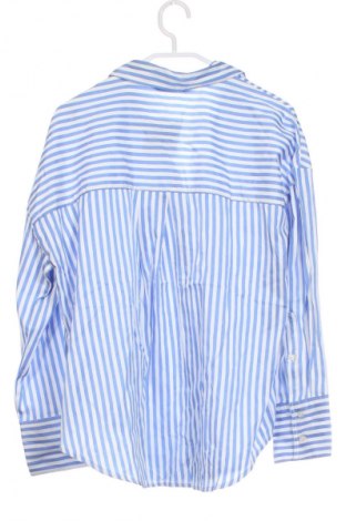 Damenbluse Zara, Größe XS, Farbe Mehrfarbig, Preis € 18,99