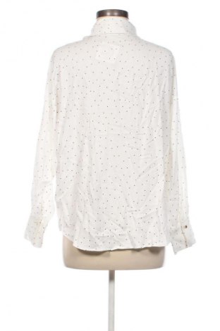 Damenbluse Zara, Größe S, Farbe Mehrfarbig, Preis 18,99 €