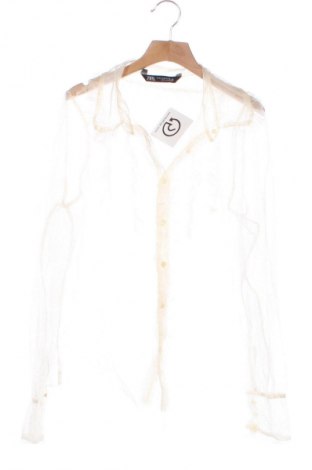 Damenbluse Zara, Größe XS, Farbe Mehrfarbig, Preis 14,00 €