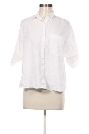 Damenbluse Zara Trafaluc, Größe S, Farbe Weiß, Preis € 13,99
