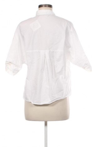 Damenbluse Zara Trafaluc, Größe S, Farbe Weiß, Preis € 13,99