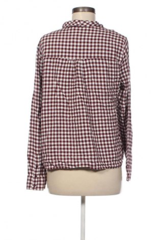 Damenbluse Zara Trafaluc, Größe L, Farbe Mehrfarbig, Preis 18,99 €