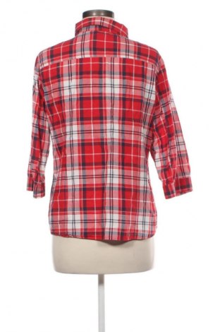 Damenbluse Znk, Größe S, Farbe Mehrfarbig, Preis € 12,79