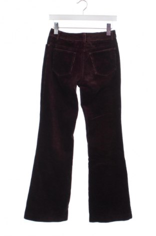 Pantaloni de velvet de femei Kookai, Mărime XS, Culoare Maro, Preț 180,07 Lei