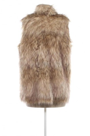 Dámska vesta  Charlotte Russe, Veľkosť XL, Farba Viacfarebná, Cena  22,95 €