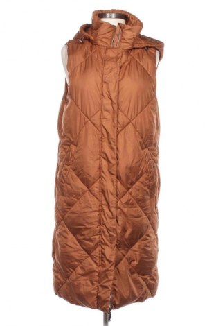 Damenweste Esprit, Größe S, Farbe Orange, Preis € 43,99