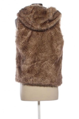 Dámska vesta  Hollister, Veľkosť S, Farba Viacfarebná, Cena  36,95 €