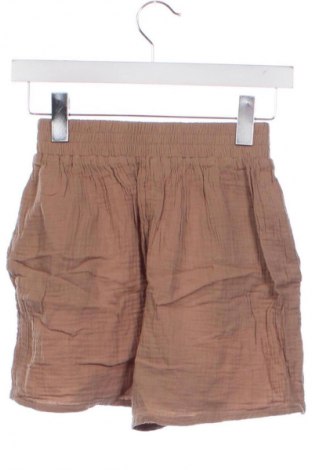 Damen Shorts Review, Größe XS, Farbe Braun, Preis € 14,99