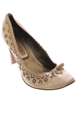 Damenschuhe Progetto, Größe 40, Farbe Mehrfarbig, Preis € 23,99