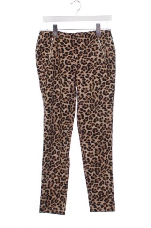 Damenhose Zara, Größe M, Farbe Mehrfarbig, Preis € 9,99