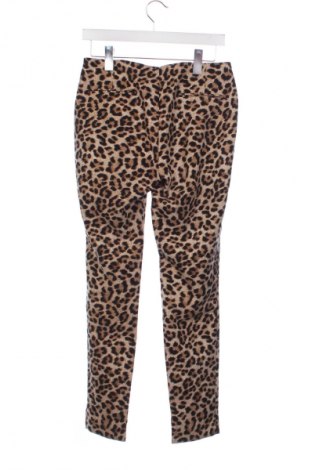 Damenhose Zara, Größe M, Farbe Mehrfarbig, Preis € 9,99