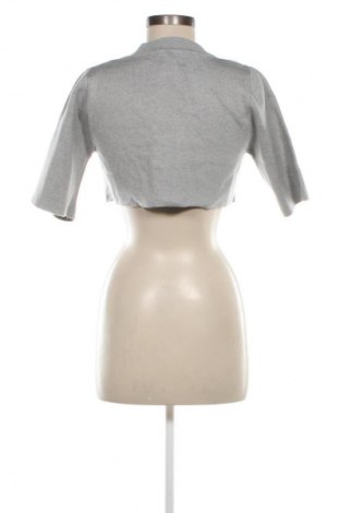 Damenpullover Amuse, Größe S, Farbe Grau, Preis € 28,99