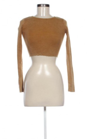 Damenpullover Zara, Größe XS, Farbe Braun, Preis 7,99 €