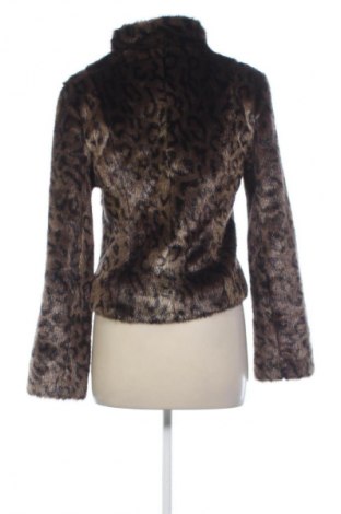 Női kabát Velvet, Méret S, Szín Sokszínű, Ár 19 789 Ft