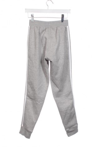 Damskie spodnie sportowe Adidas, Rozmiar XS, Kolor Szary, Cena 134,99 zł